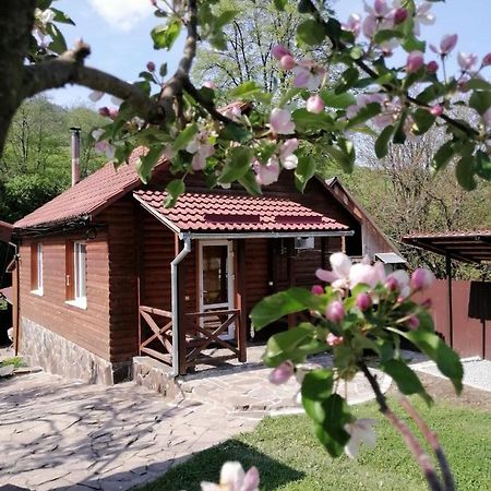 Зачаровані Карпати, Воловець Екстериор снимка