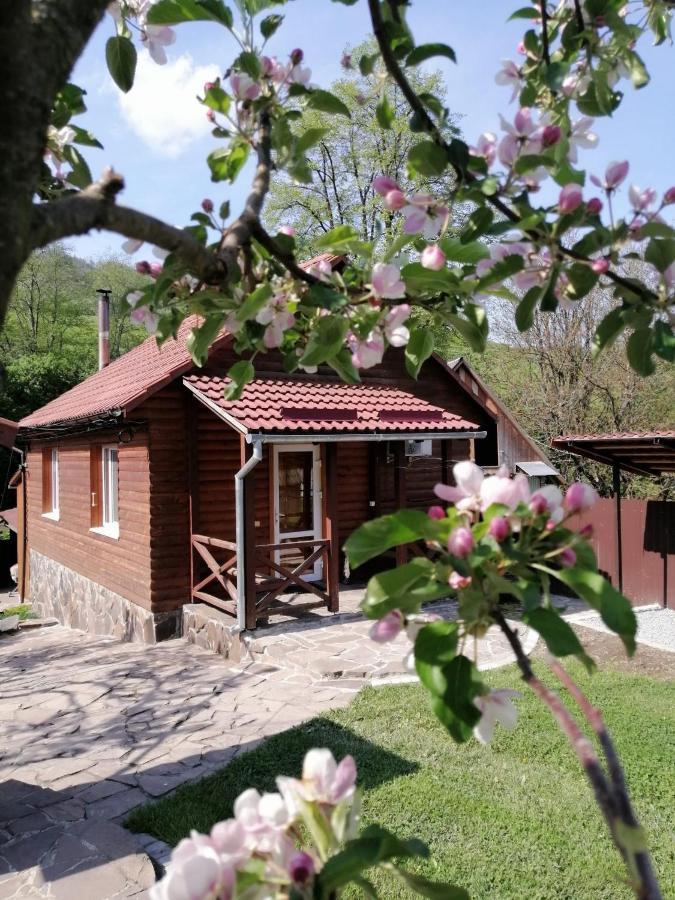 Зачаровані Карпати, Воловець Екстериор снимка